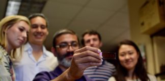 Study: Synchronized brain-like activity created, recorded and influenced by electrical stimulation — (Details)