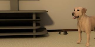 Research: Meet the virtual pooch that could help prevent dog bites —