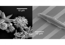 Tech: Researchers develop a modular metal-organic framework with highest electron charge mobilities ever observed — (Report)
