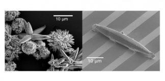 Tech: Researchers develop a modular metal-organic framework with highest electron charge mobilities ever observed — (Report)