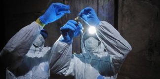 Study: Discovery illustrates PREDICT project’s goal to find viruses before they spillover into people — (Details)