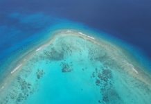 Research: Corals in deeper waters under stress, too, scientists find —