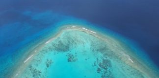 Research: Corals in deeper waters under stress, too, scientists find —