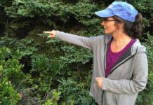 Research: Biodiversity can boost forest carbon storage, but less than other factors —