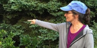 Research: Biodiversity can boost forest carbon storage, but less than other factors —