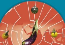 Research: Genomes and elephants tell the story —