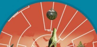 Research: Genomes and elephants tell the story —