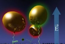 Tech: A novel nanoactuator system has been developed — (Report)