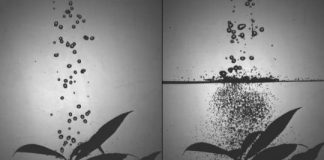 Tech: Using a simple mesh screen may allow farmers to dramatically reduce the amount of pesticides they spray — (Report)