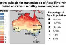 Research: New model that accurately predicts patterns of mosquito-borne Ross River virus epidemics could help prepare for the impact of climate change —