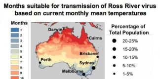 Research: New model that accurately predicts patterns of mosquito-borne Ross River virus epidemics could help prepare for the impact of climate change —