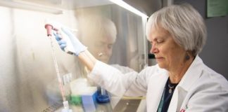 Study: Nnew insights for ways to use cell metabolism to treat cancer — (Details)