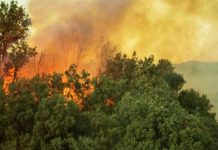 Research: Wilder wildfires ahead? The connection between climate change, El Niño and the possibility for more extreme wildfires —