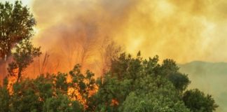 Research: Wilder wildfires ahead? The connection between climate change, El Niño and the possibility for more extreme wildfires —