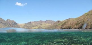 Research: How forest conservation helps coral reefs —