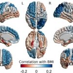 Study: When it comes to weight gain, the problem may be mostly in our heads, and our genes — (Details)