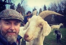 Research: Goats prefer happy people —