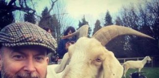 Research: Goats prefer happy people —