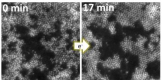 Tech: Watching two-dimensional materials grow — (Report)