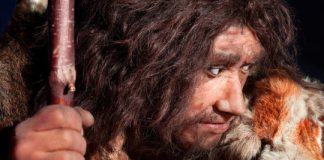 Research: Cold climates contributed to the extinction of the Neanderthals —