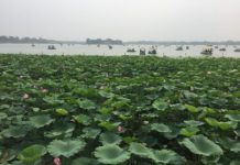 Offbeat: Ozone levels higher across China than in other countries tracking the air pollutant —