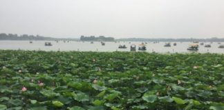 Offbeat: Ozone levels higher across China than in other countries tracking the air pollutant —