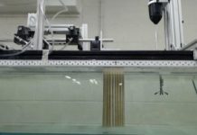 Research: Humanmade mangroves could get to the ‘root’ of the problem for threats to coastal areas —