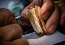 Research: Ancient African herders had lasting ecological impact on grazed lands —