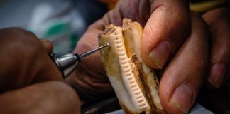 Research: Ancient African herders had lasting ecological impact on grazed lands —