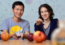 Tech: A mathematical model reveals a map for odors from the natural environment — (Report)