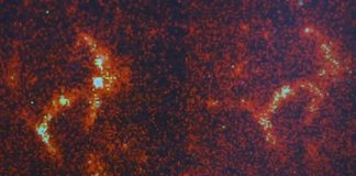 Study: Engineering team just found new way to see proteins that cause Alzheimer’s, other diseases — (Details)