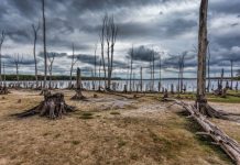 Research: Most land-based ecosystems worldwide risk ‘major transformation’ due to climate change —