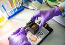 Research: Simple test detects disease-carrying mosquitoes, presence of biopesticide —