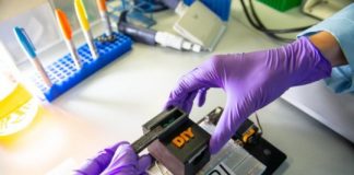 Research: Simple test detects disease-carrying mosquitoes, presence of biopesticide —