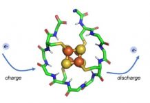 Research: The primordial peptide may have appeared 4 billion years ago —
