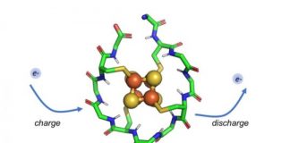 Research: The primordial peptide may have appeared 4 billion years ago —