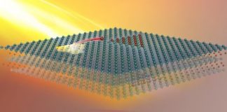 Tech: Cannibalistic materials feed on themselves to grow new nanostructures — (Report)