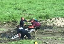 Man rescued with parrot from waist-deep mud at Belleville park Man rescued with parrot from waist-deep mud at Belleville park