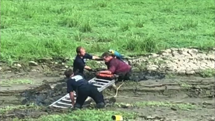 Man rescued with parrot from waist-deep mud at Belleville park