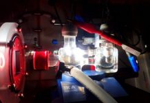 Research: New research in the field of semi-artificial photosynthesis —