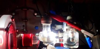 Research: New research in the field of semi-artificial photosynthesis —