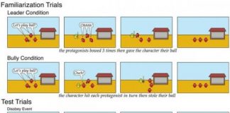 Study: Infants can distinguish between leaders and bullies, study finds — (Details)