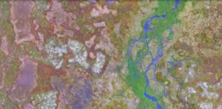 Research: Greenhouse emissions from Siberian rivers peak as permafrost thaws —