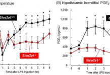 Research: How fever comes —