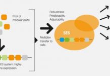 Research: Powerful tools to solve challenges in bio- and circular economy —