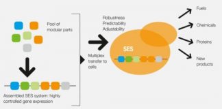 Research: Powerful tools to solve challenges in bio- and circular economy —