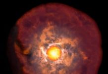 Tech: Veiled supernovae provide clue to stellar evolution — (Report)