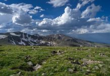 Research: What happens to high mountain ecosystems when you take away air pollution? Not much, not very quickly —