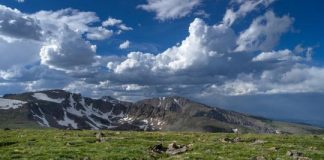 Research: What happens to high mountain ecosystems when you take away air pollution? Not much, not very quickly —