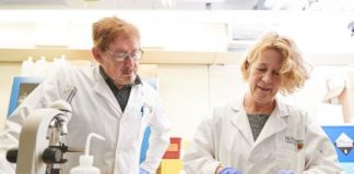 Study: Strands of hair from member of Franklin expedition provide new clues into mystery — (Details)